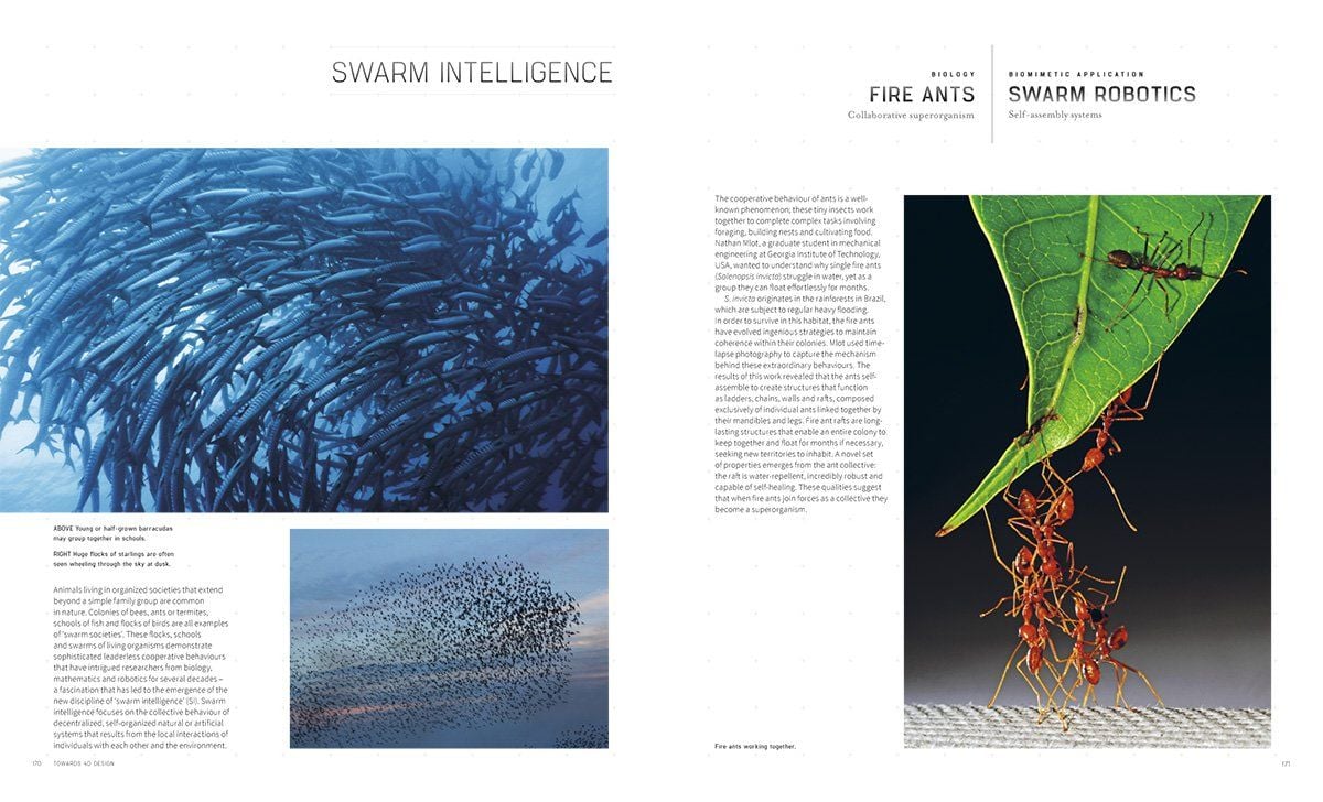  Biomimicry for Designers 