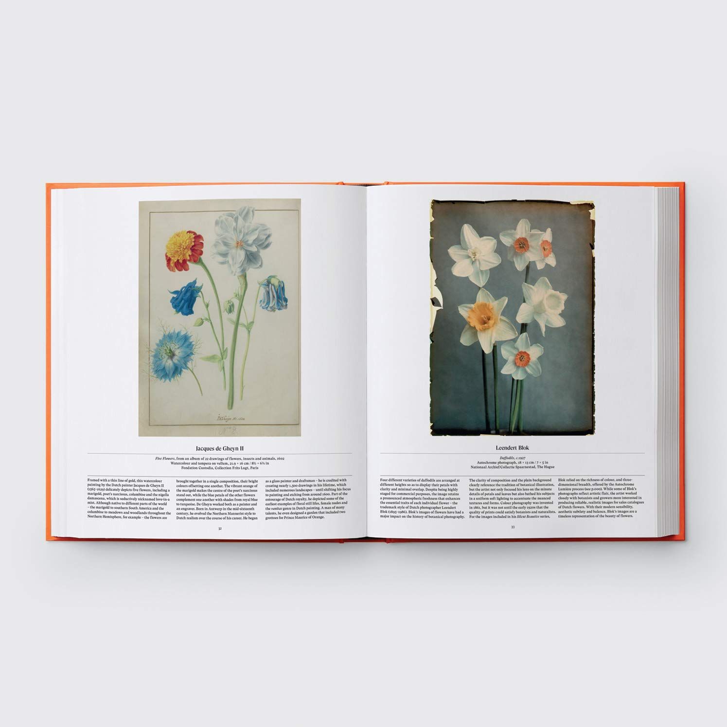  Flower: Exploring the World in Bloom_Phaidon Editors_9781838660857_Phaidon Press Ltd 