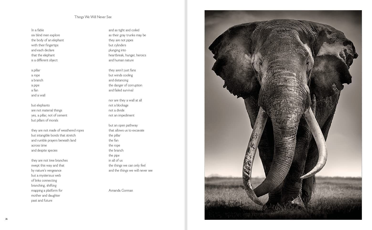  Last of Their Kind_Joachim Schmeisser_9783961712793_teNeues Publishing UK Ltd 