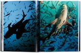  Michael Muller. Sharks 