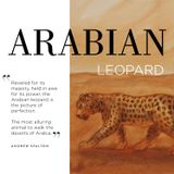  Arabian Leopard - Assouline Coffee Table Book 