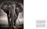  Last of Their Kind_Joachim Schmeisser_9783961712793_teNeues Publishing UK Ltd 