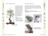  A Beginner's Guide to House Plants: Creating Beautiful and Healthy Green Spaces in Your Home 
