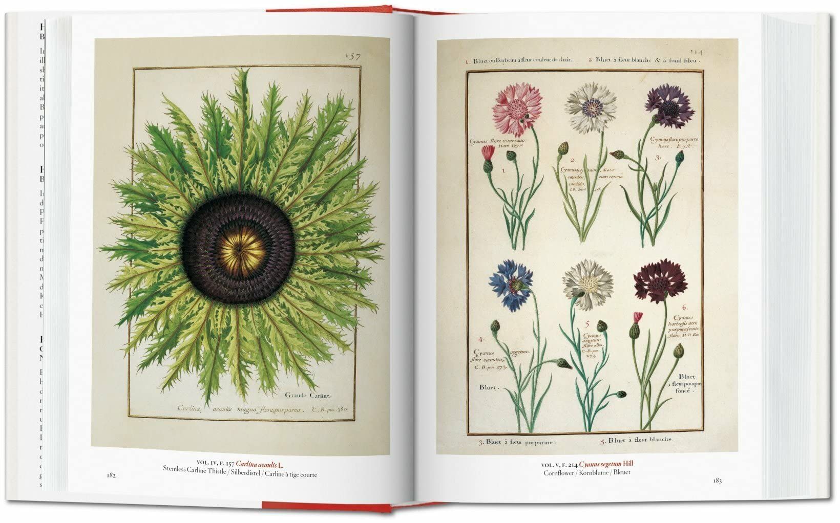  A Garden Eden. Masterpieces of Botanical Illustration. 40th Ed. 