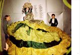  John Galliano: Unseen 