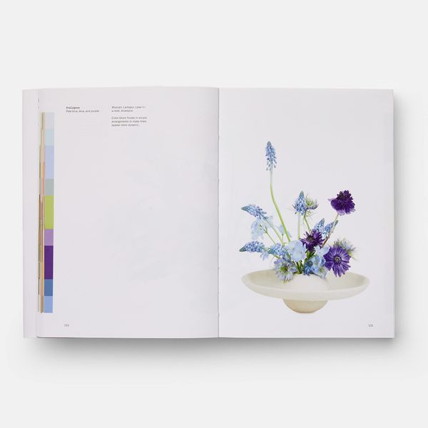 Flower Colour Theory_Taylor Putnam_9781838662356_Phaidon Press Ltd