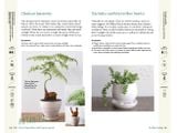  A Beginner's Guide to House Plants: Creating Beautiful and Healthy Green Spaces in Your Home 