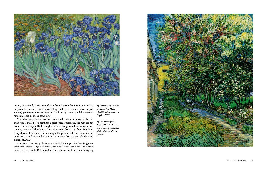  Starry Night : Van Gogh at the Asylum 