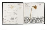  Derek Jarman's Sketchbooks_Ed Webb-Ingall_9780500516942_Thames & Hudson 