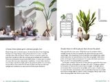 A Beginner's Guide to House Plants: Creating Beautiful and Healthy Green Spaces in Your Home 