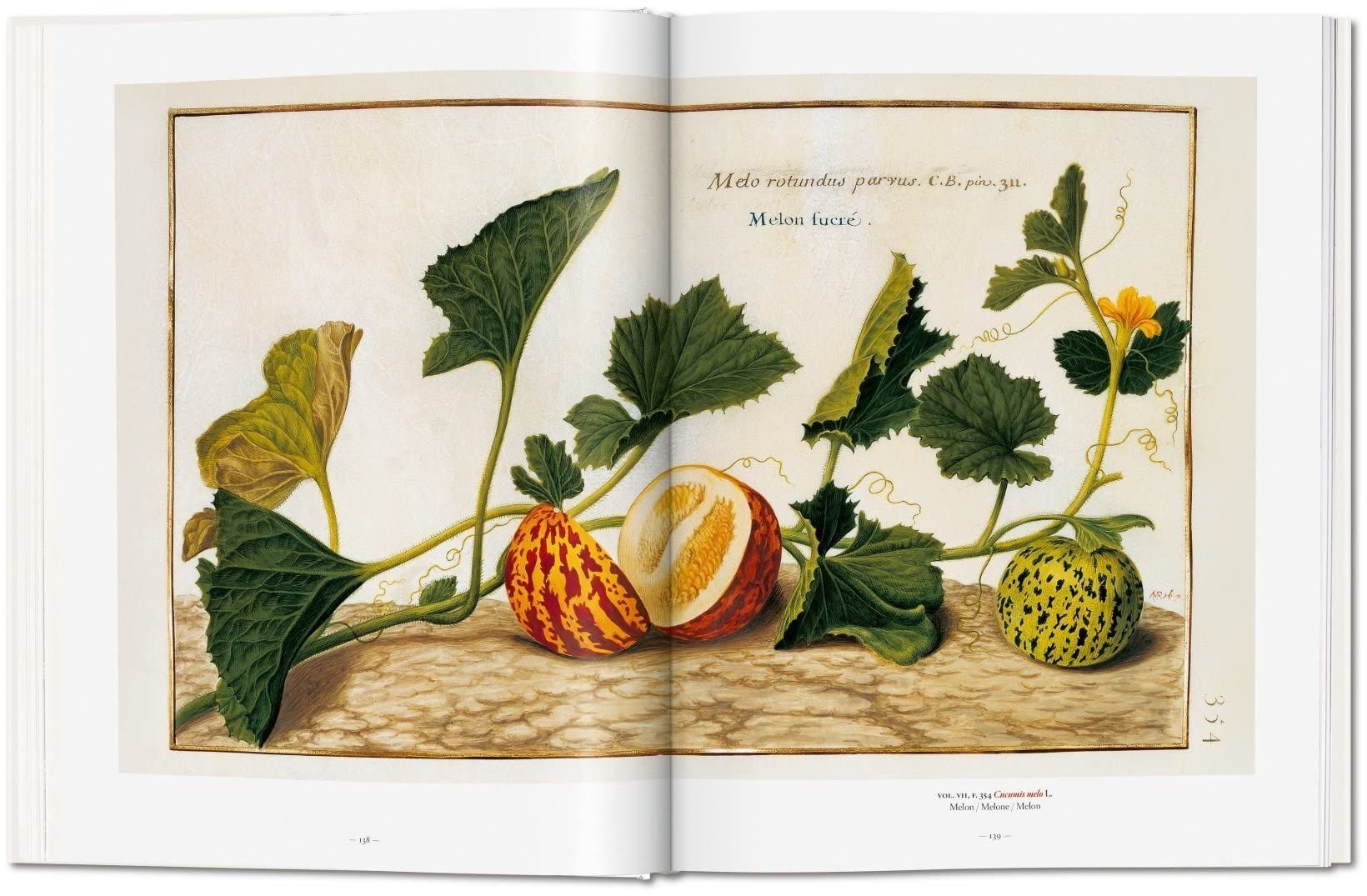  A Garden Eden. Masterpieces of Botanical Illustration 