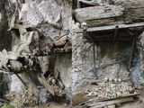  Memento Mori : The Dead Among Us 