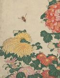  Pictures of the Floating World : An Introduction to Japanese Prints 