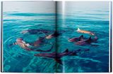  Michael Muller. Sharks 