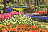  150 Gardens You Need To Visit Before You Die_Stefanie Waldek_9789401479295_WORDS & VISUALS PRESS PTE LTD 