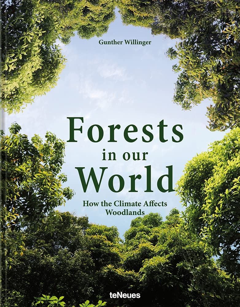  Forests in our World: How the Climate Affects Woodlands 