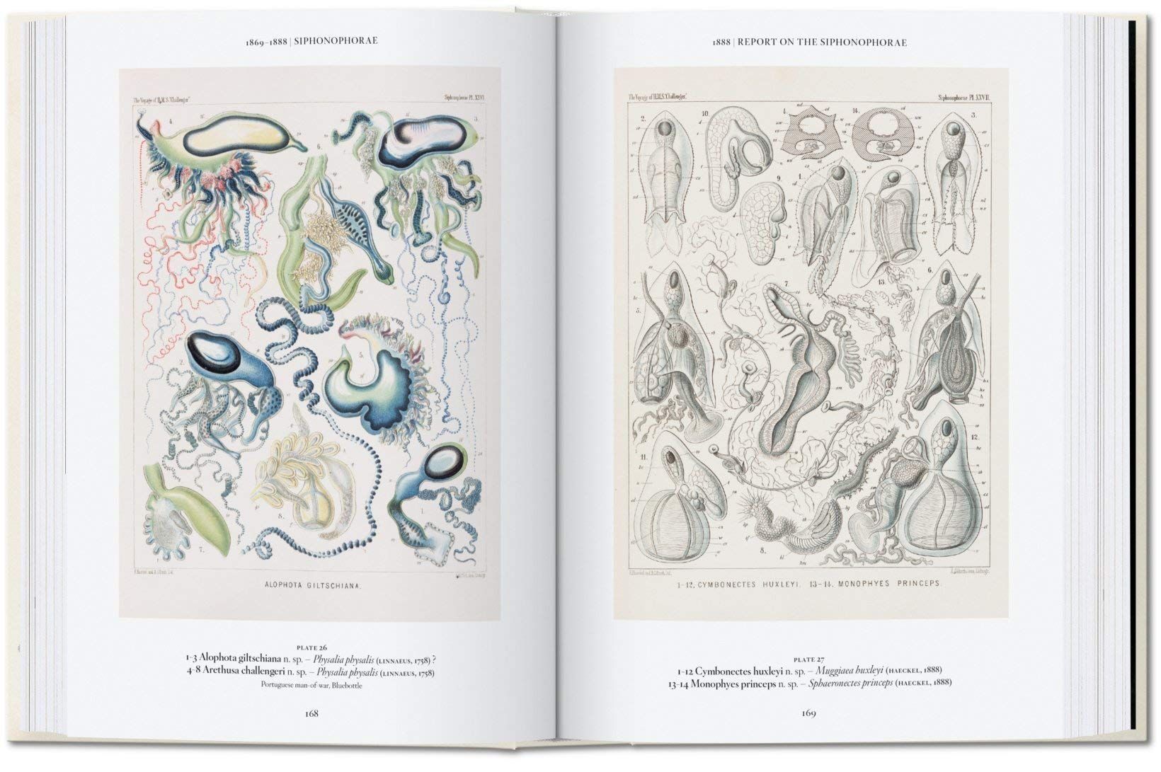  The Art and Science of Ernst Haeckel_Rainer Willmann_9783836584289_Taschen 
