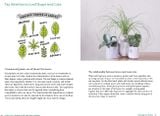  A Beginner's Guide to House Plants: Creating Beautiful and Healthy Green Spaces in Your Home 