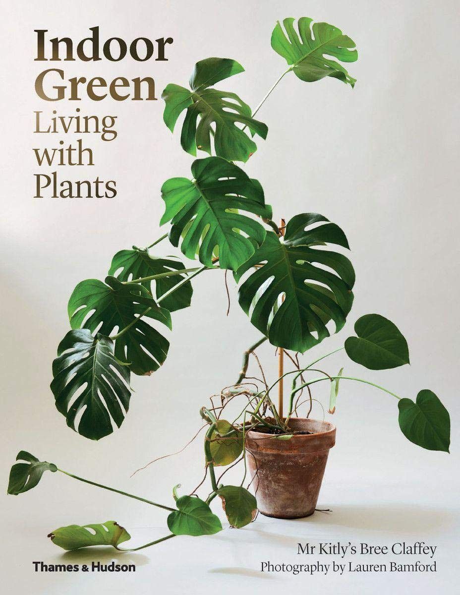  Indoor Green: Living With Plants_Mr Kitly's Bree Claffey_9780500501061_APD SINGAPORE PTE LTD 