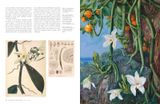  The Orchid: Celebrating 40 of the World's Most Charismatic Orchids Through Rare Prints and Classic Texts 