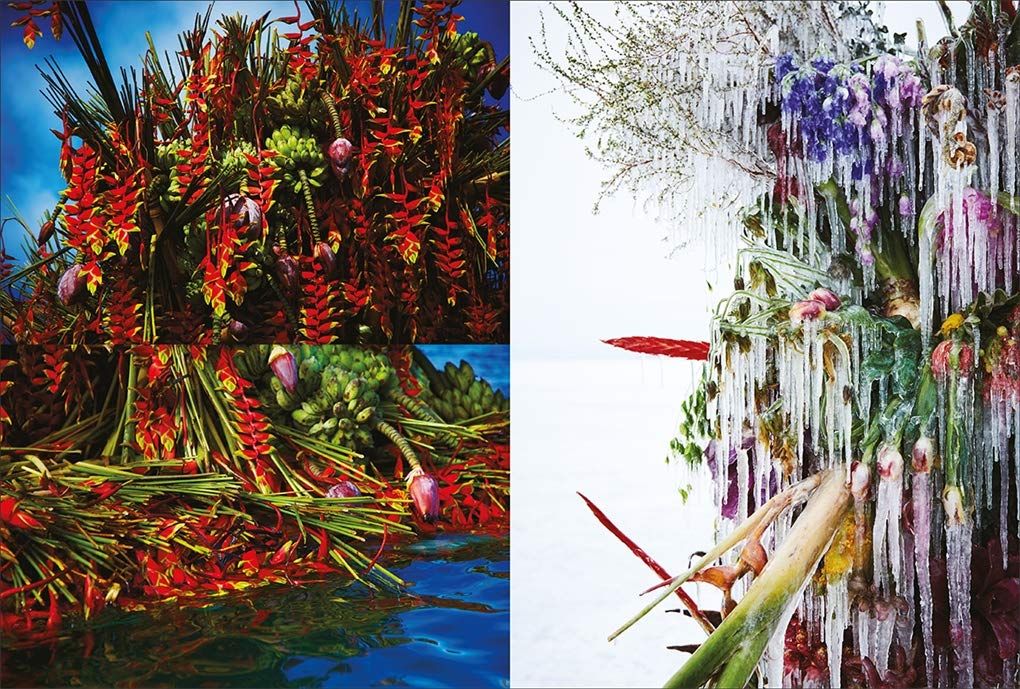  Flower Art: Makoto Azuma_Makoto Azuma_9780500210291_Thames & Hudson Ltd 