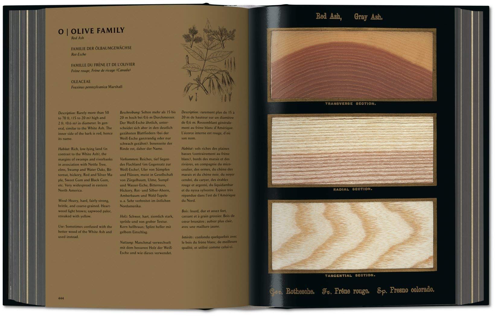  Romeyn B. Hough: The Woodbook 