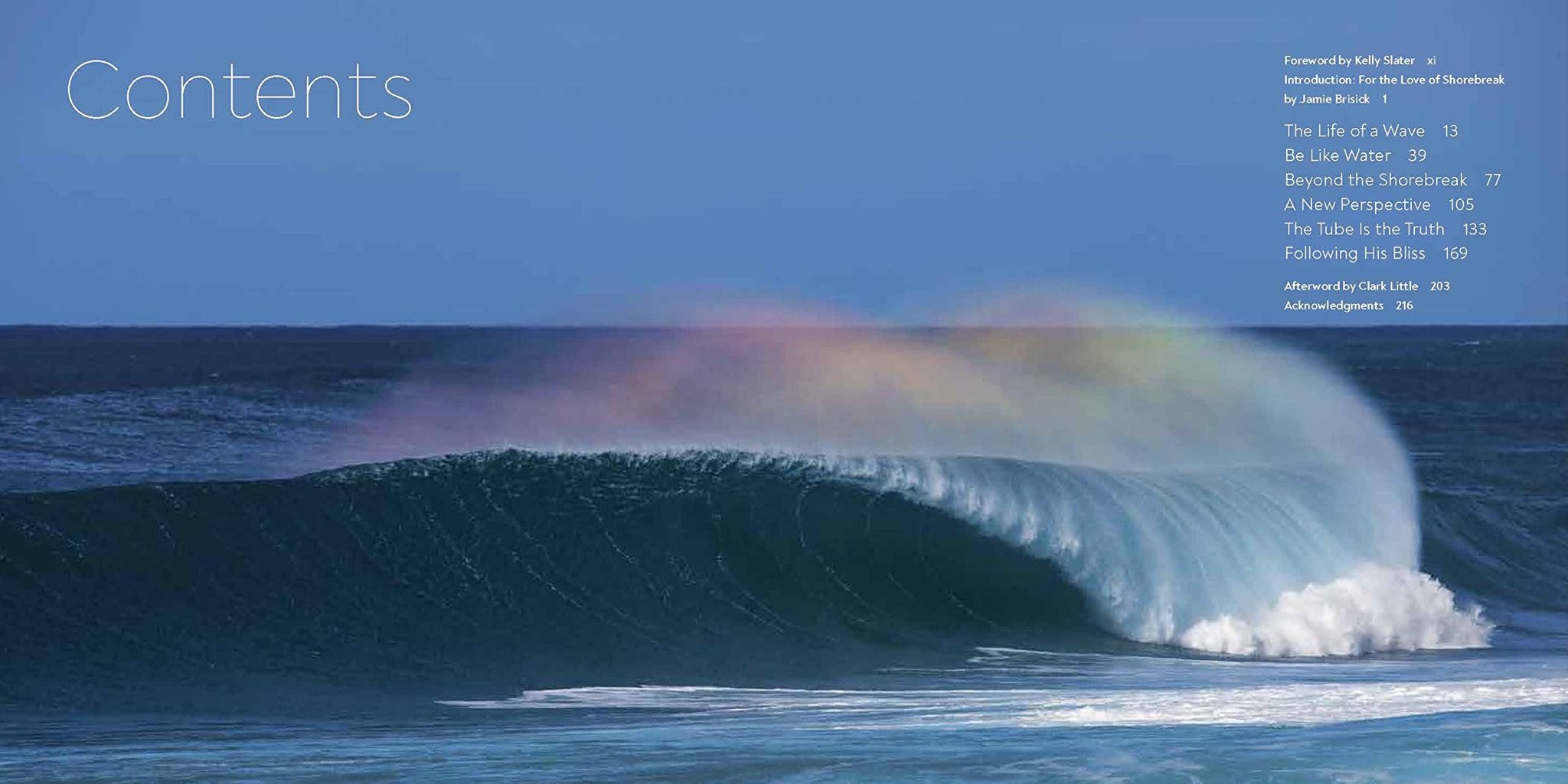  Clark Little : The Art of Waves 