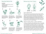 A Beginner's Guide to House Plants: Creating Beautiful and Healthy Green Spaces in Your Home 