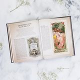  The Story of Perfume: A lavishly illustrated guide 