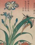 Pictures of the Floating World : An Introduction to Japanese Prints 