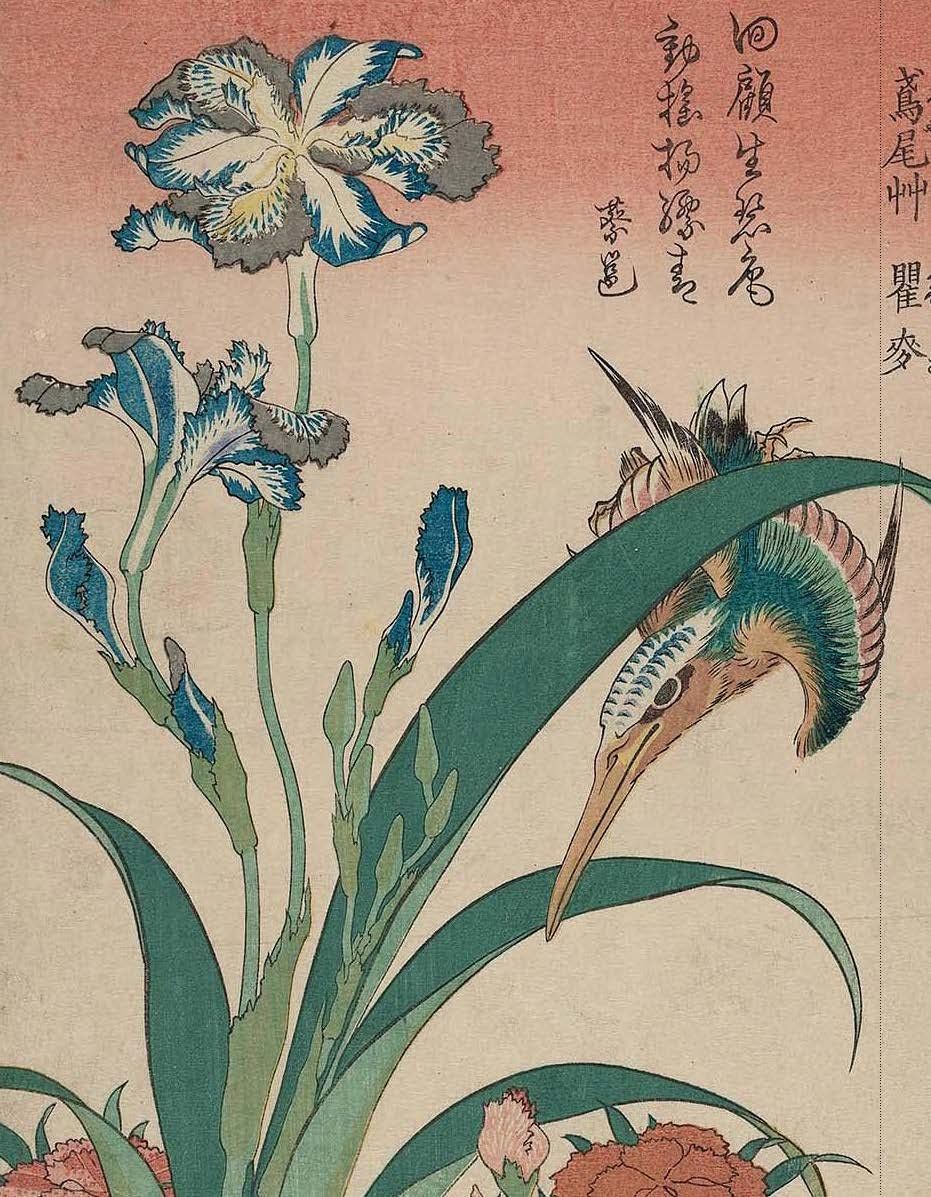  Pictures of the Floating World : An Introduction to Japanese Prints 