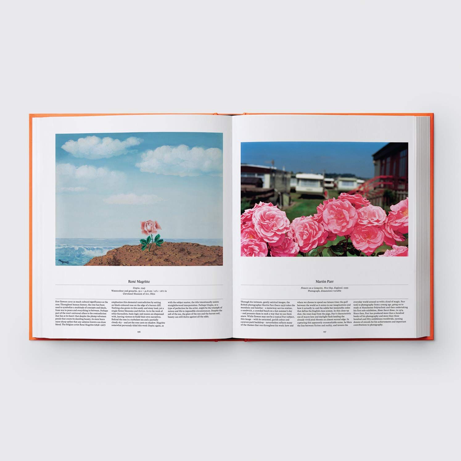  Flower: Exploring the World in Bloom_Phaidon Editors_9781838660857_Phaidon Press Ltd 