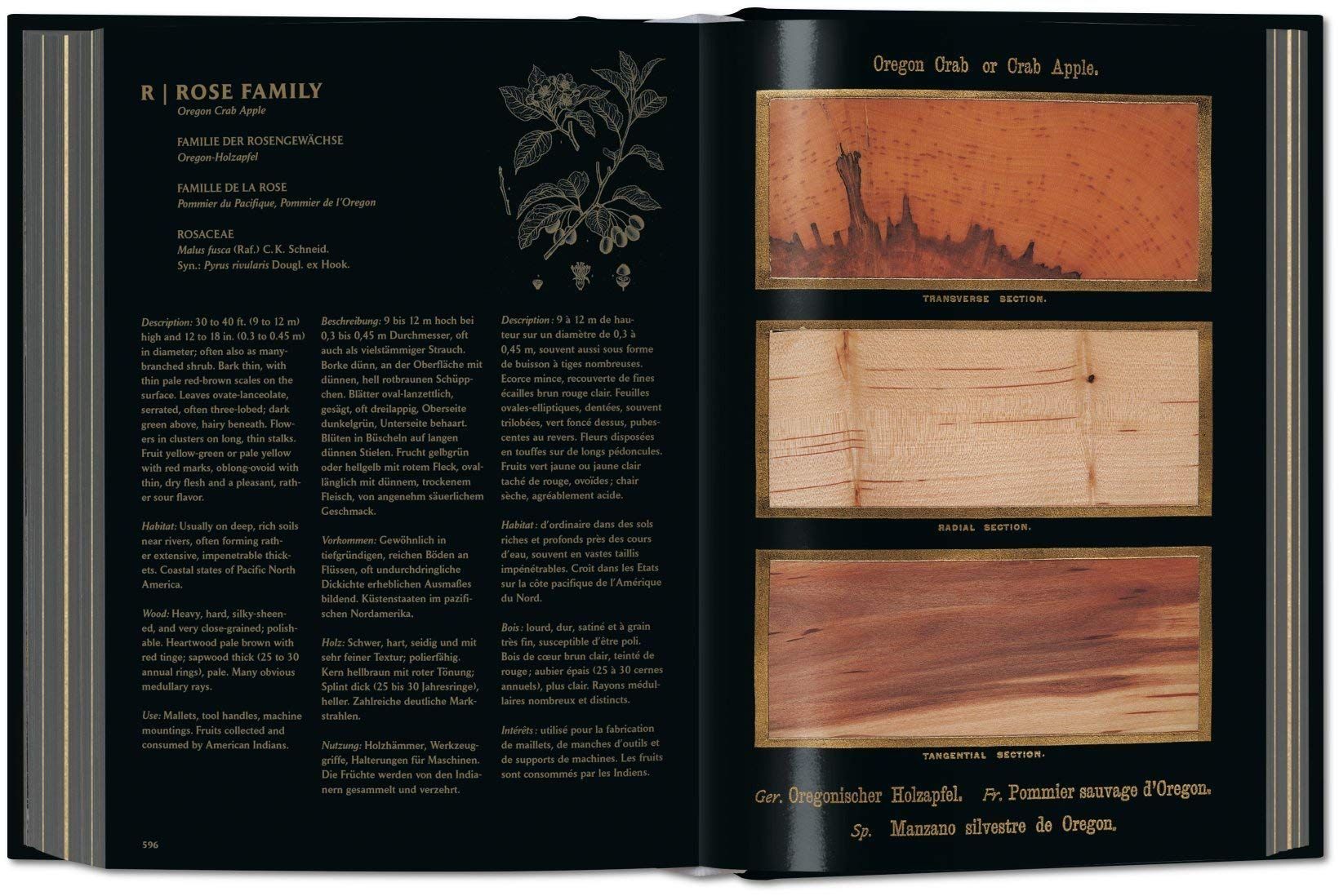  Romeyn B. Hough: The Woodbook 
