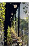 Botanical Buildings 