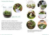  A Beginner's Guide to House Plants: Creating Beautiful and Healthy Green Spaces in Your Home 