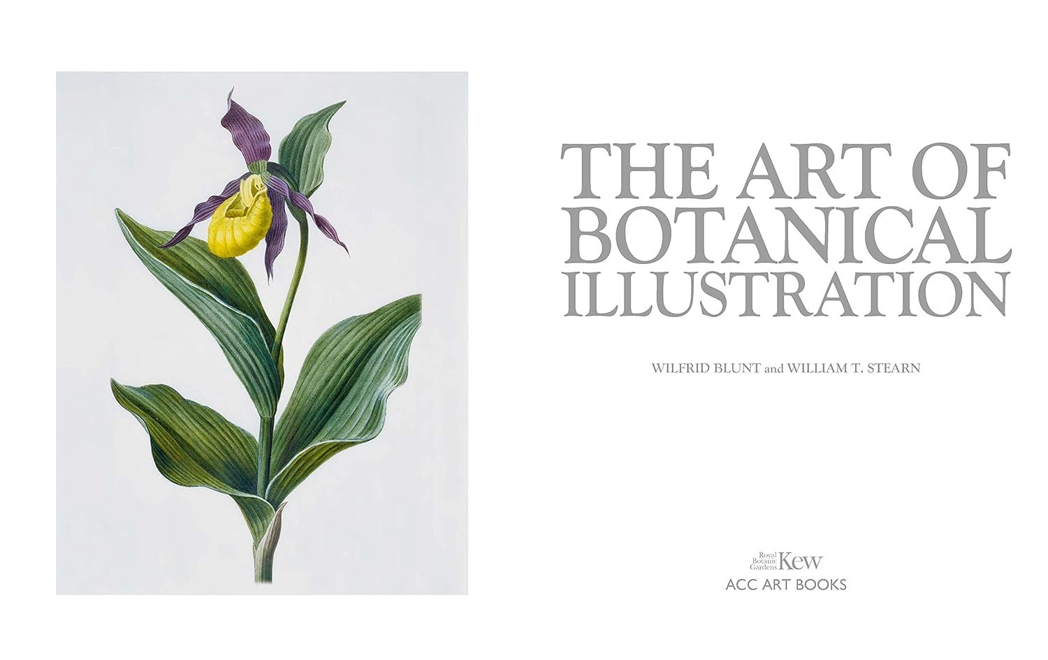  The Art of Botanical Illustration 