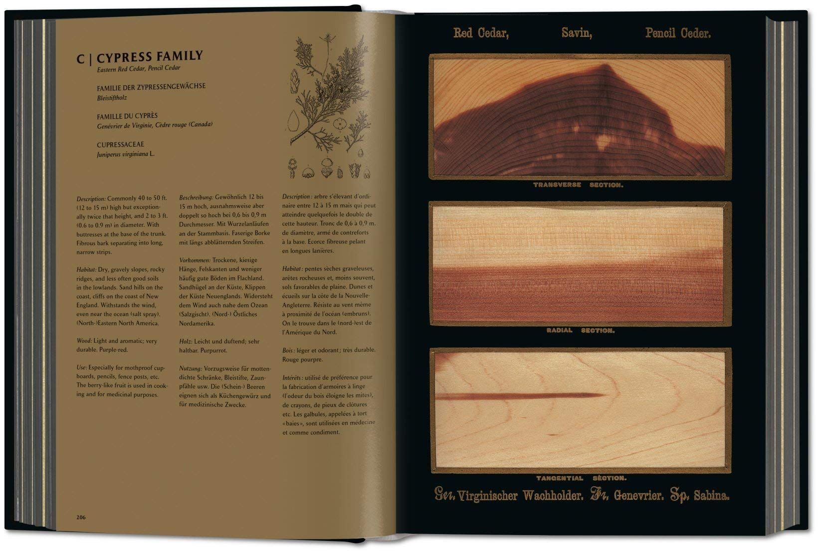  Romeyn B. Hough: The Woodbook 