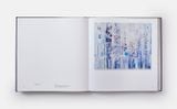  Sarah Sze: Paintings 