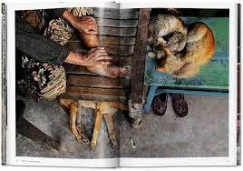  Steve McCurry: Animals_Steve McCurry_9783836575379_Taschen GmbH 