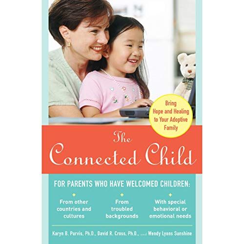  The Connected Child 