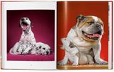  Dogs. Photographs 1941-1991_Walter Chandoha_9783836584296_Taschen GmbH 