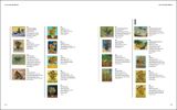  Van Gogh Still Lifes_Ortrud Westheider_9783791358727_Prestel 