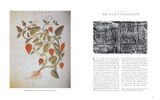  The Art of Botanical Illustration 