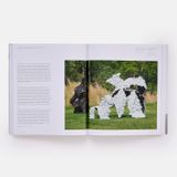  Lynda Benglis (Phaidon Contemporary Artists Series) 