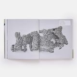  Lynda Benglis (Phaidon Contemporary Artists Series) 
