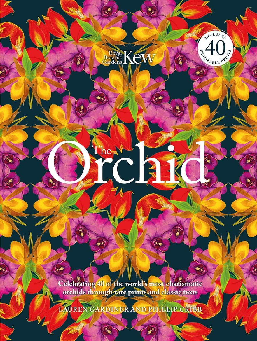  The Orchid: Celebrating 40 of the World's Most Charismatic Orchids Through Rare Prints and Classic Texts 