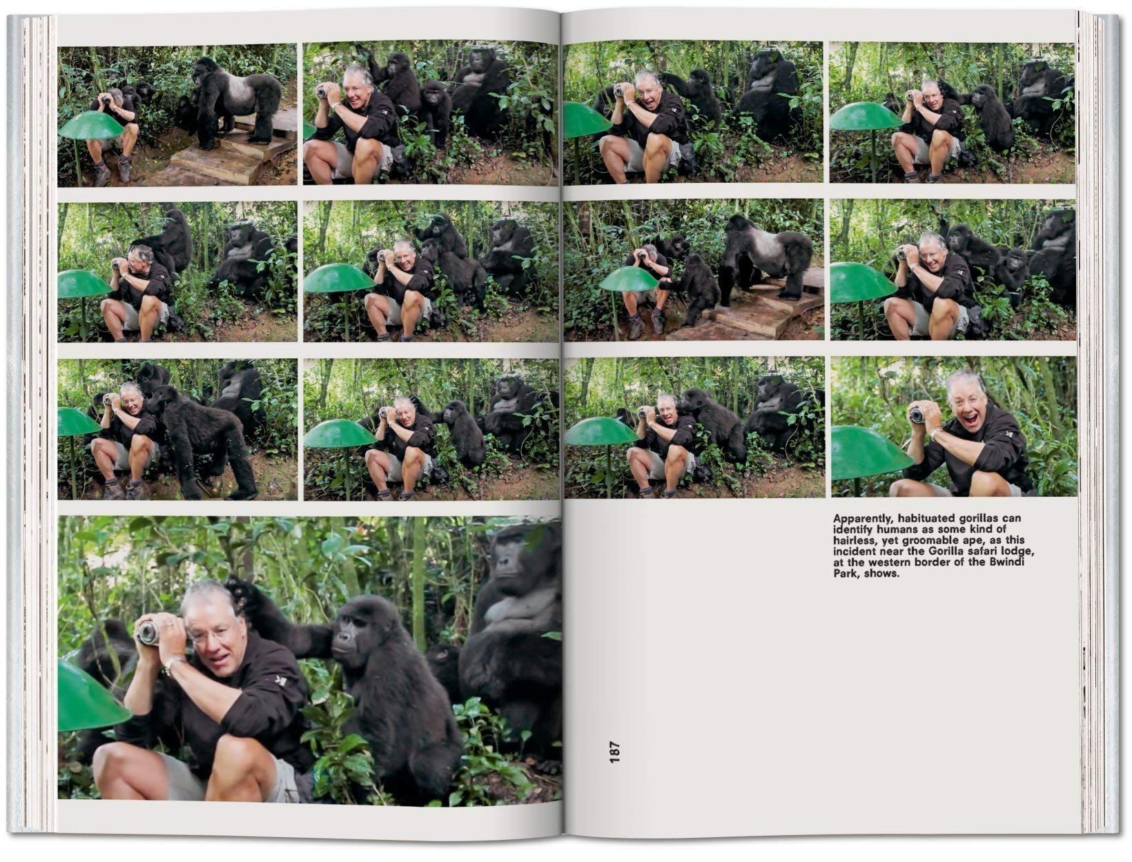  Koolhaas. Countryside. A Report_ Amo_9783836584395_Taschen GmbH 