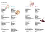  Kimono Design: An Introduction to Textiles and Patterns 