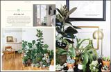  Urban Jungle: Living and Styling with Plants 