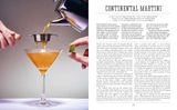  The Curious Bartender: In Pursuit of Liquid Perfection: Recipes for the finest cocktails 